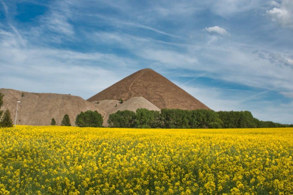 Mansfelder Pyramiden Besteigung Mansfelder Halden