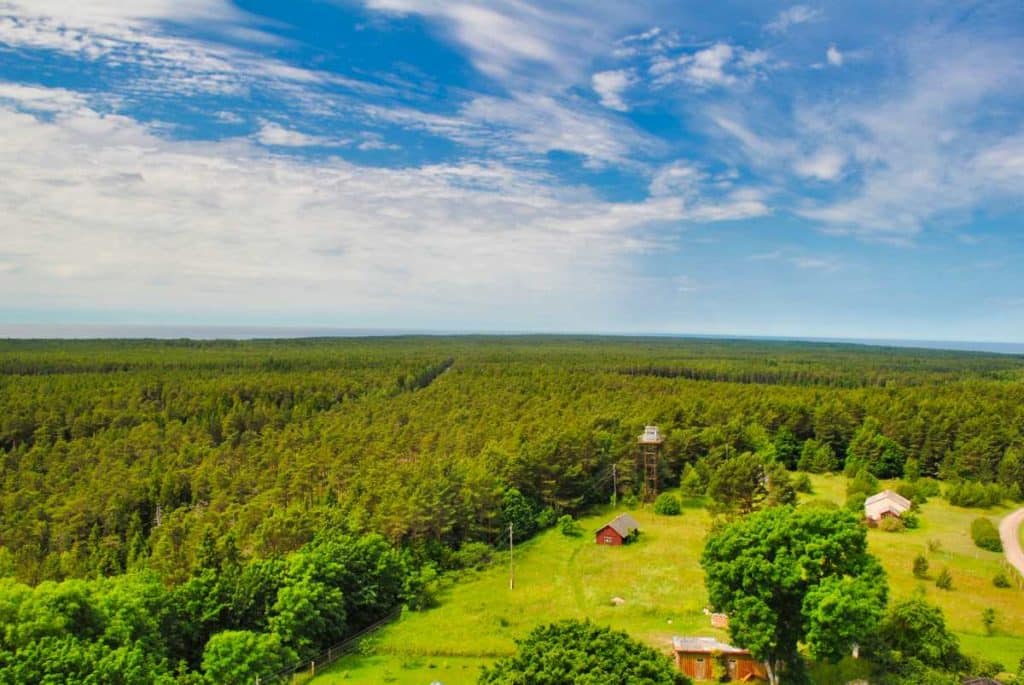 estonian island